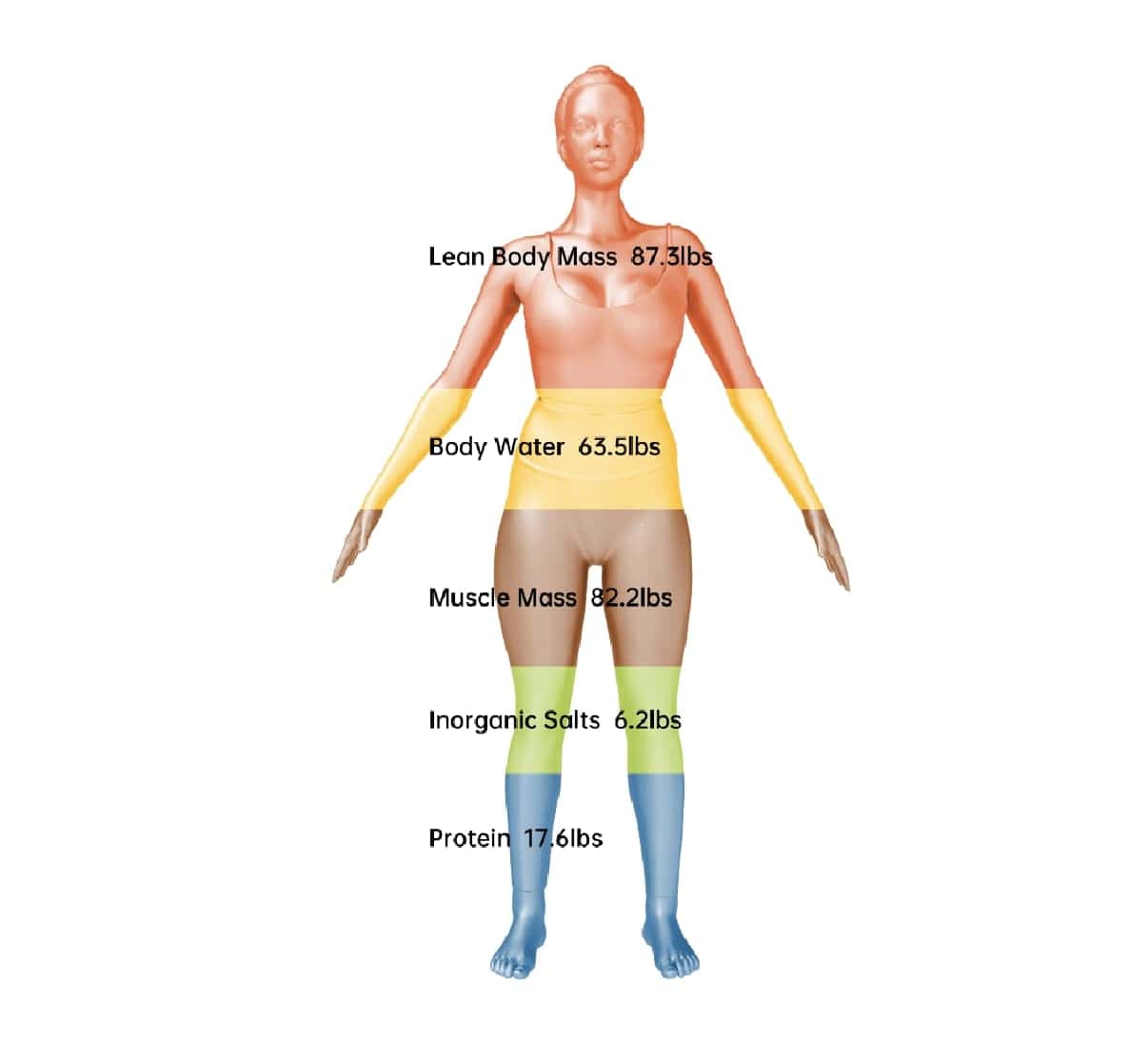 Pesée Visbody Oxyty Poissy
